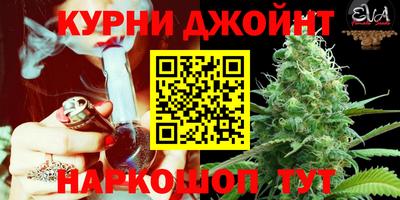 гидропоника Жуковский