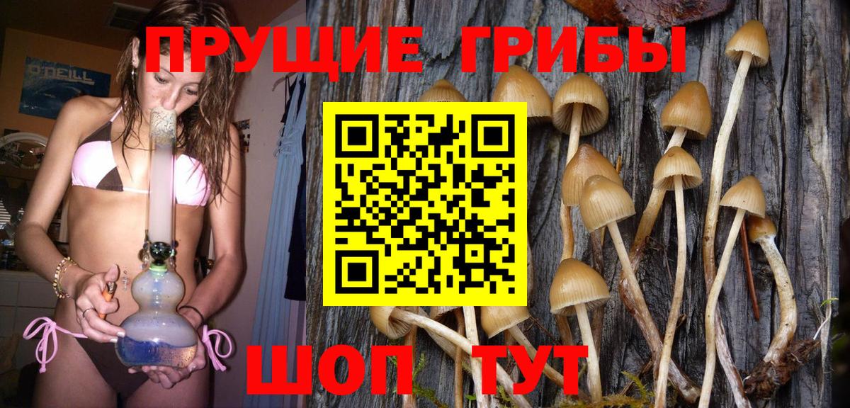 Луховицы  Псилоцибиновые грибы ЛСД  купить наркотик  Вход с VPN 